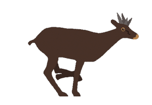 Gif animé antilope marron fonçé